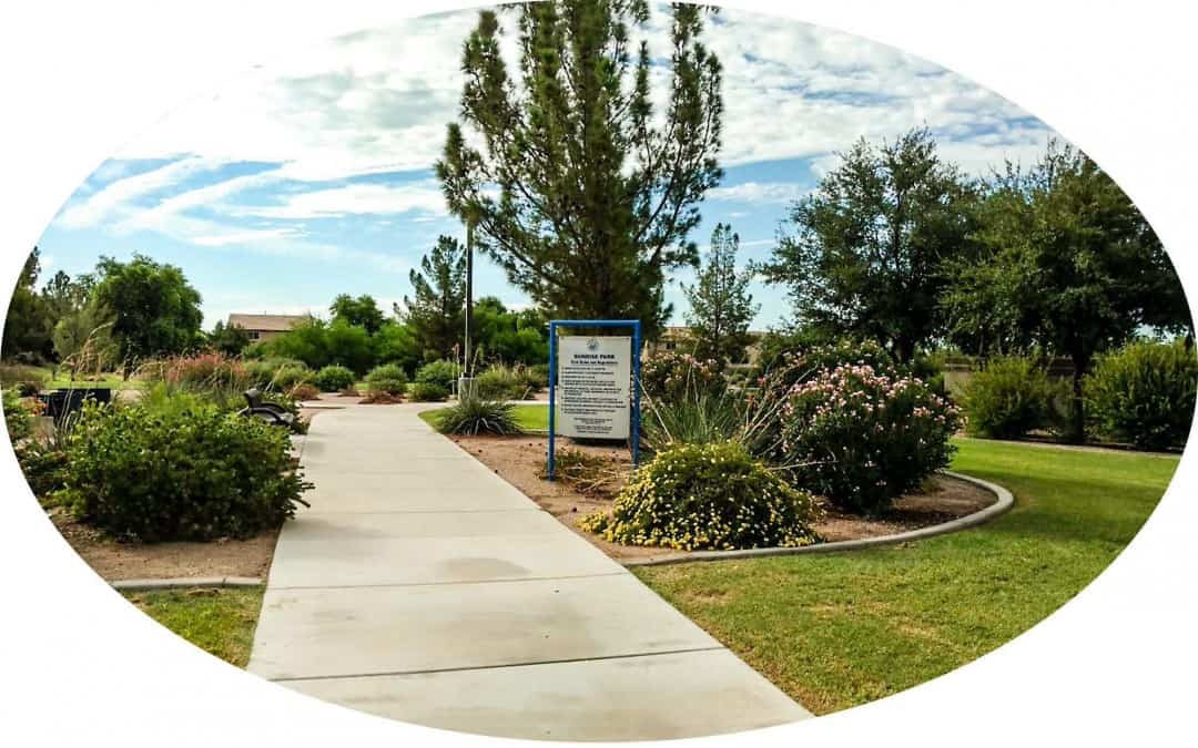 Peoria Irrigation System & Turf Reduction Study