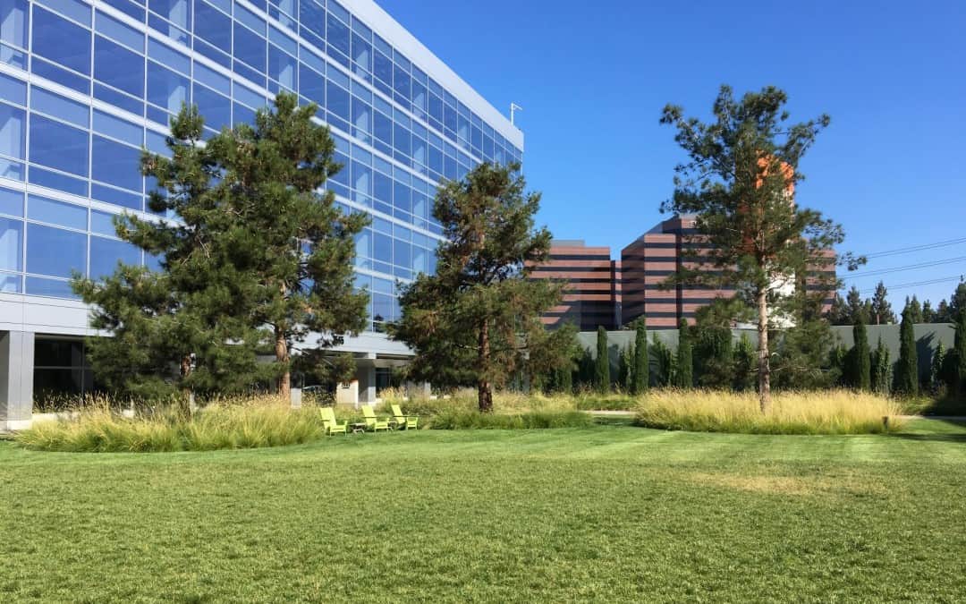 2020 Winner: Offices at Santa Clara Square